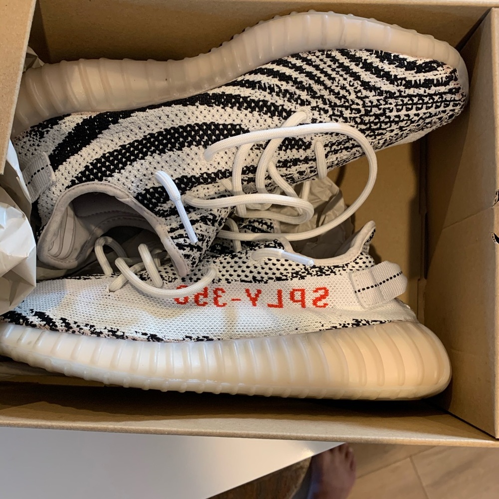 Yeezy zebra 10.5